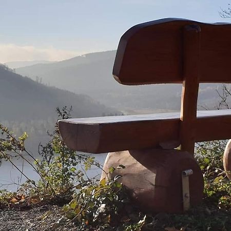 Ferienwohnung Reese- Horstmann Mit Hallenbad Und Sauna, Wlan "Harz Zu Jeder Jahreszeit" Bad Harzburg Buitenkant foto