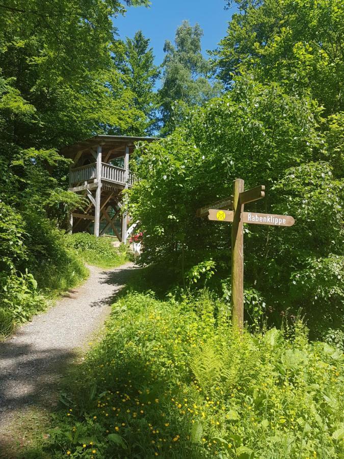 Ferienwohnung Reese- Horstmann Mit Hallenbad Und Sauna, Wlan "Harz Zu Jeder Jahreszeit" Bad Harzburg Buitenkant foto
