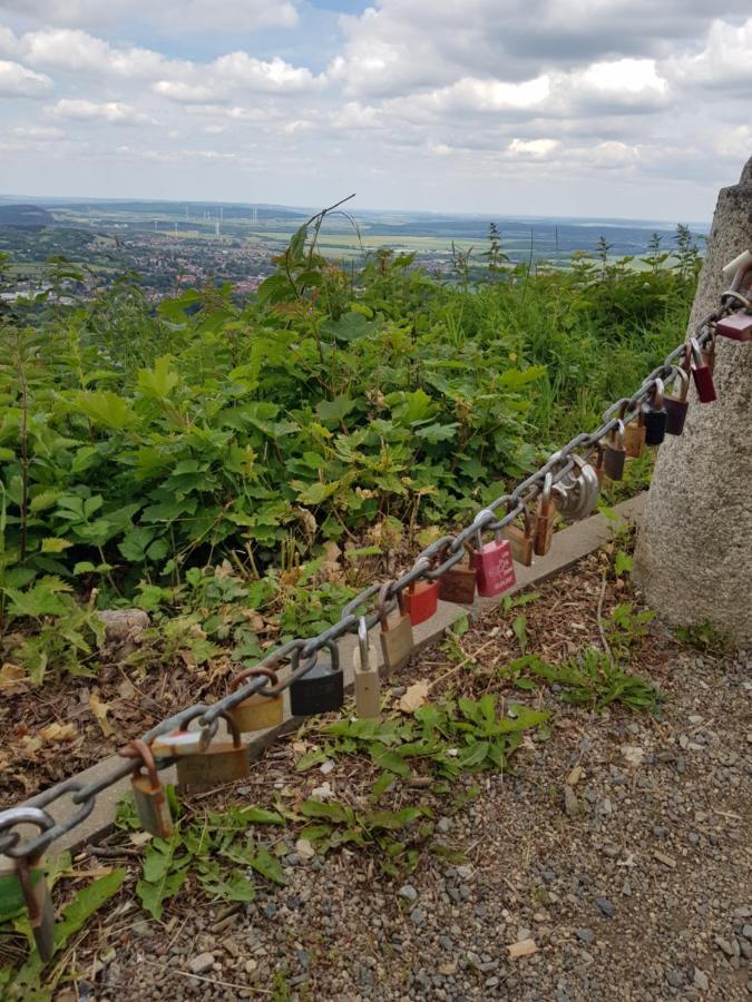 Ferienwohnung Reese- Horstmann Mit Hallenbad Und Sauna, Wlan "Harz Zu Jeder Jahreszeit" Bad Harzburg Buitenkant foto