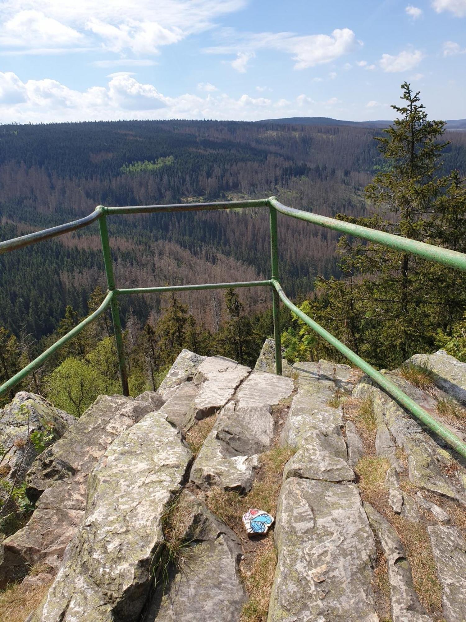 Ferienwohnung Reese- Horstmann Mit Hallenbad Und Sauna, Wlan "Harz Zu Jeder Jahreszeit" Bad Harzburg Kamer foto