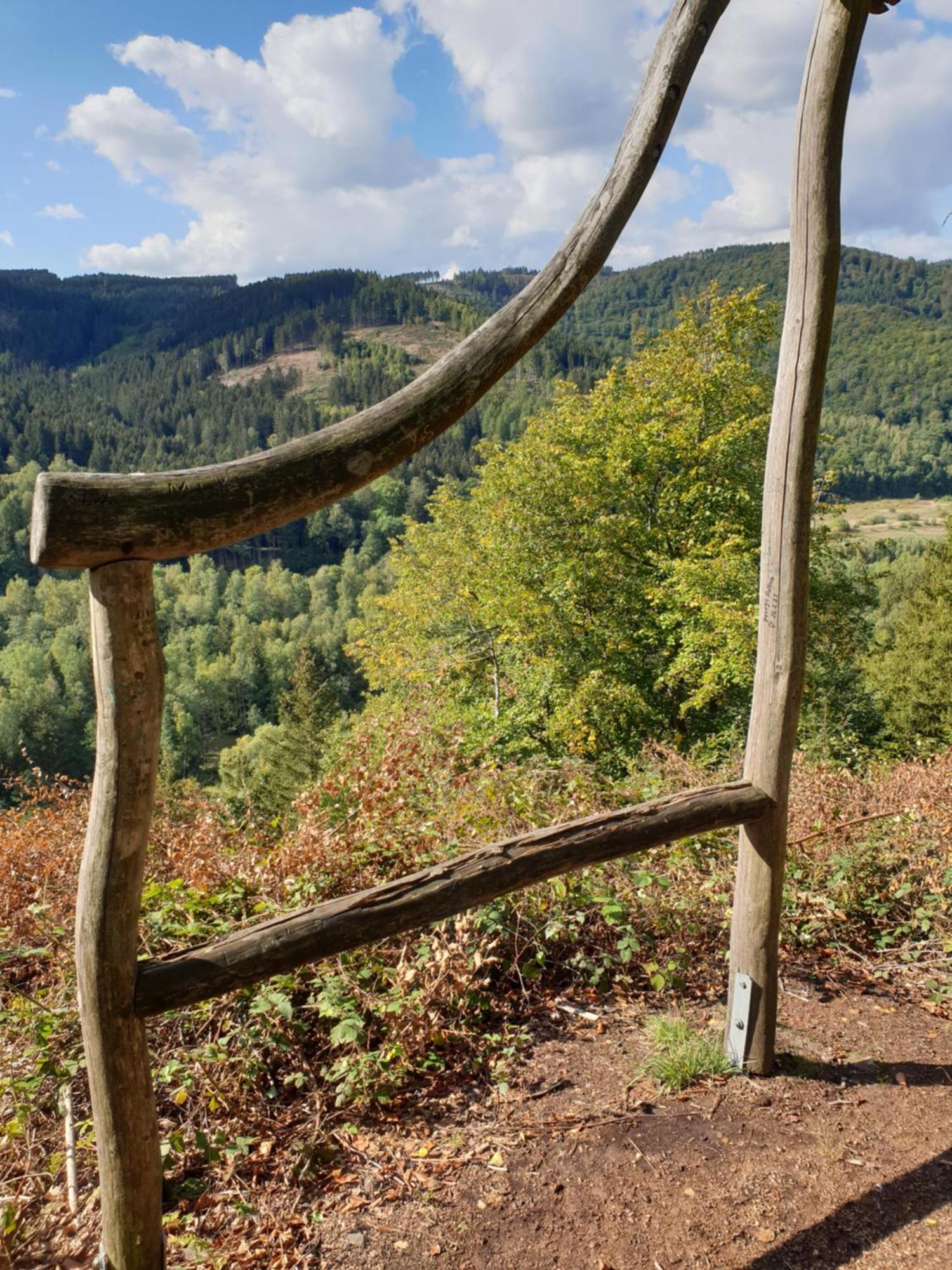 Ferienwohnung Reese- Horstmann Mit Hallenbad Und Sauna, Wlan "Harz Zu Jeder Jahreszeit" Bad Harzburg Kamer foto