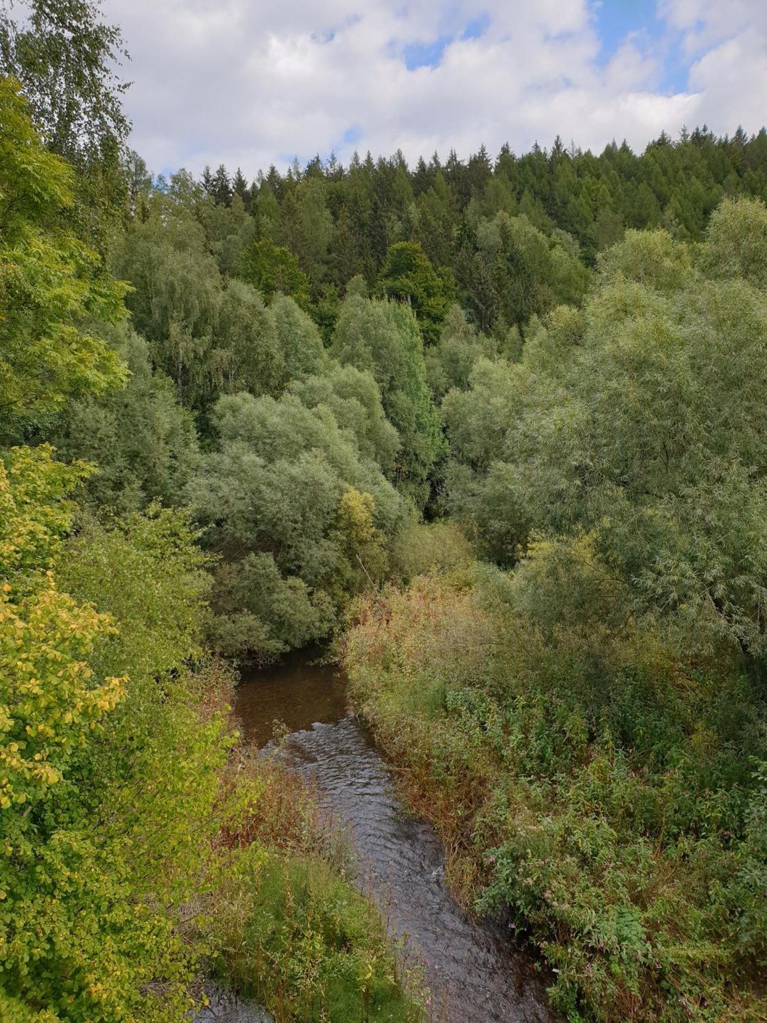 Ferienwohnung Reese- Horstmann Mit Hallenbad Und Sauna, Wlan "Harz Zu Jeder Jahreszeit" Bad Harzburg Kamer foto